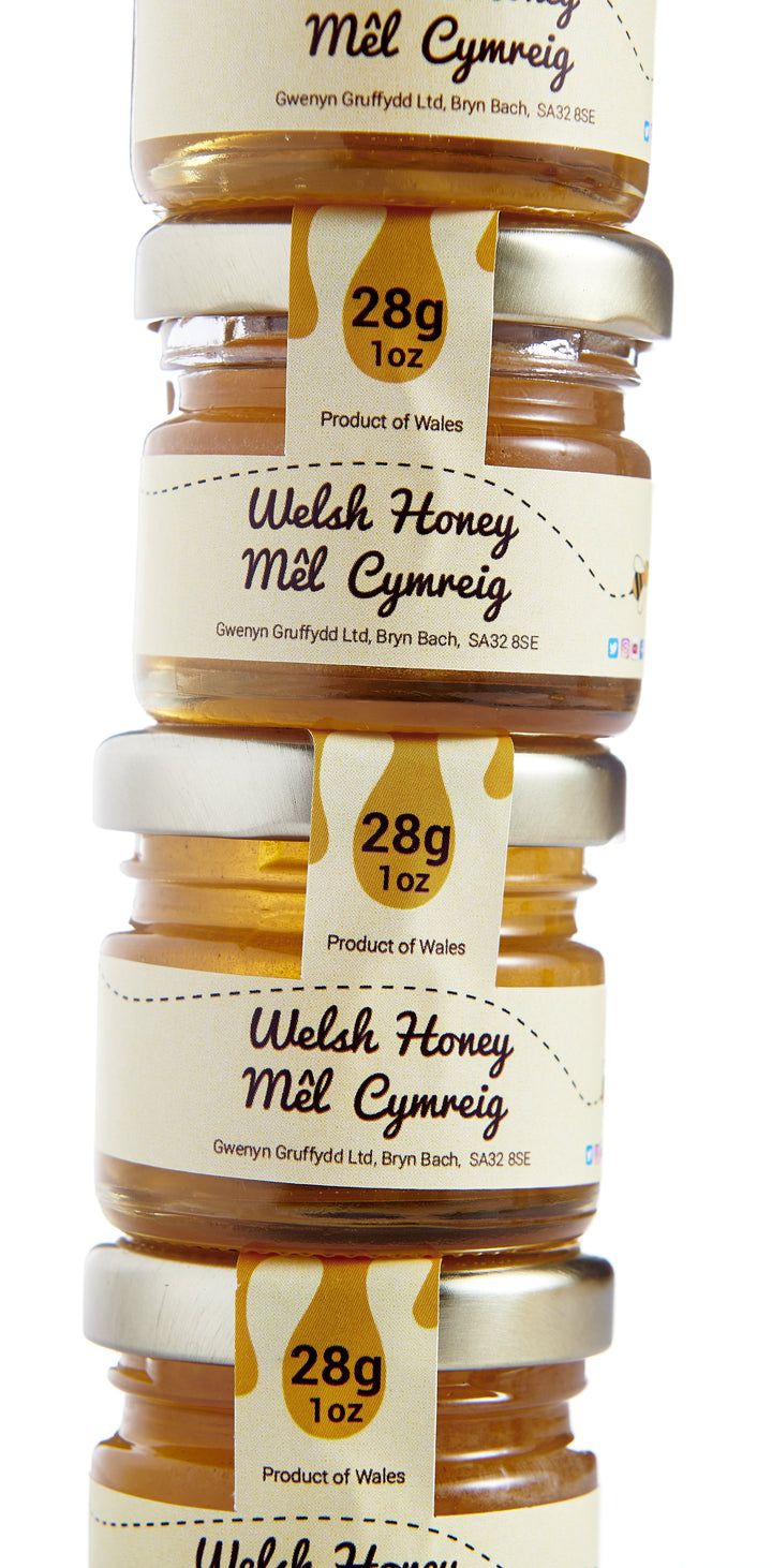 Welsh Wildflower Mini Honey Jar 28g