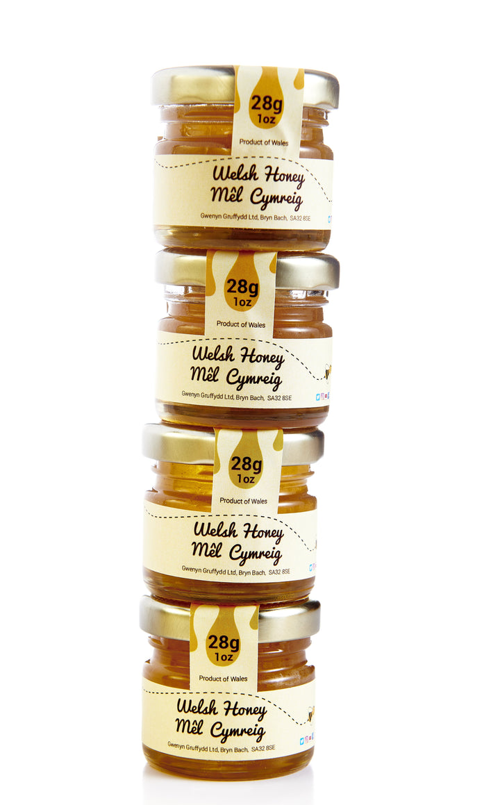 Welsh Wildflower Mini Honey Jar 28g