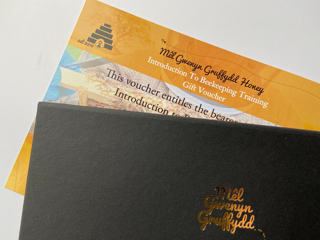 One Day Beekeeping Training for Beginners Gift Voucher