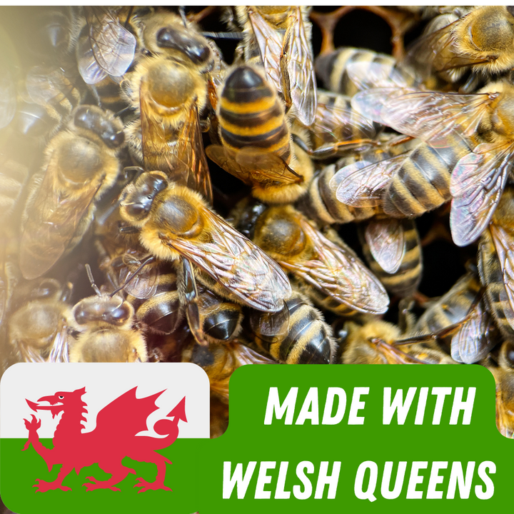Buy Bees - 5 Frame Welsh Black Locally Adapted Bees Nuc Over Wintered Nucleus 2026 UK - Collected or Delivered