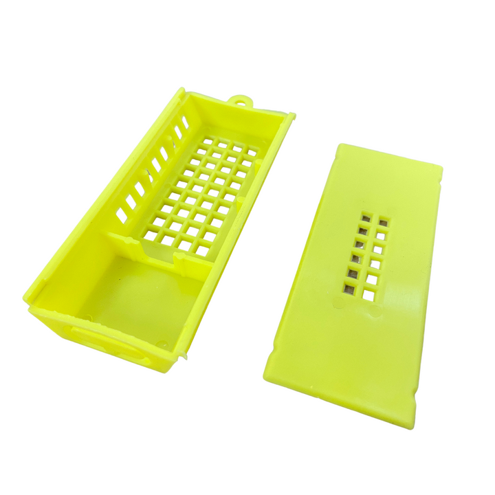 Economy Puzzle Yellow Queen Shipping and Introduction Cage