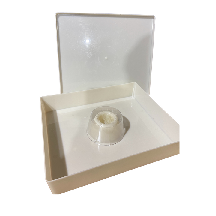 6L Rapid English Bee Top Square Feeder - By Thorne