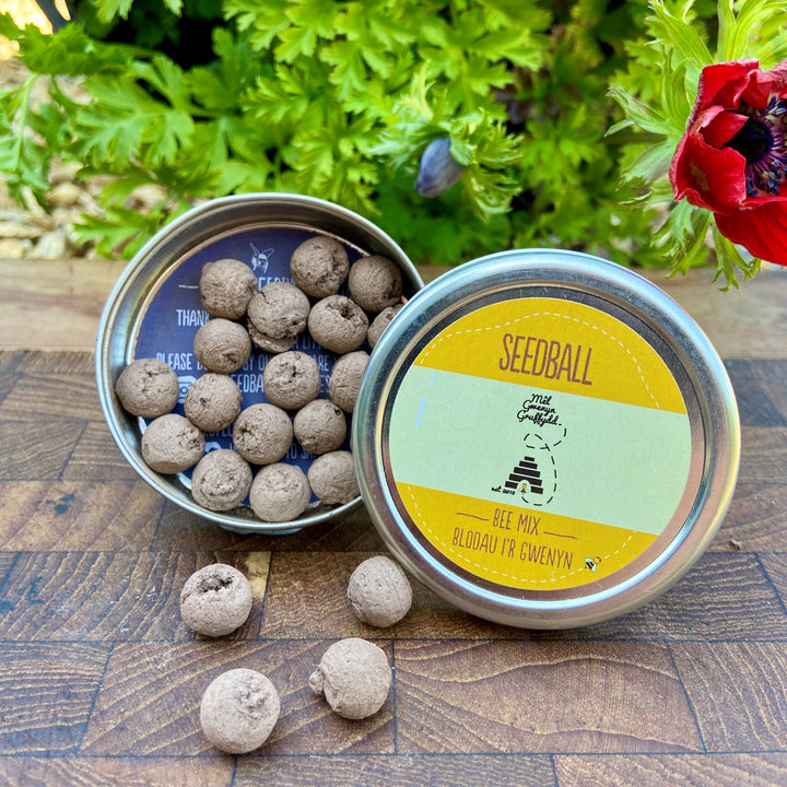Bee Mix Wildflower Seedballs Tin | Cymysedd o Hadau Blodau Gwyllt i'r Gwenyn