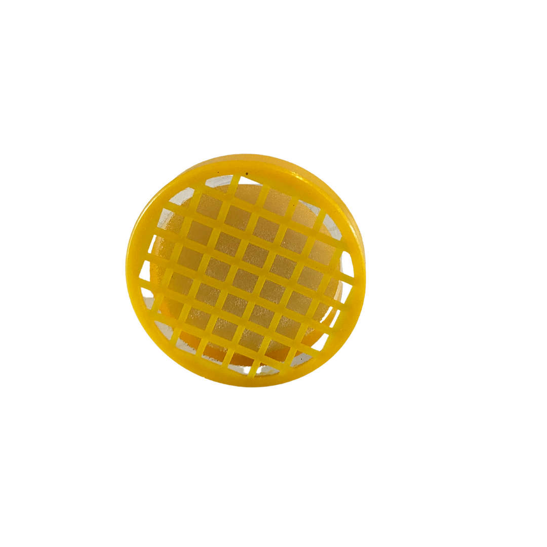 Queen Bee Marker Cage with Plunger