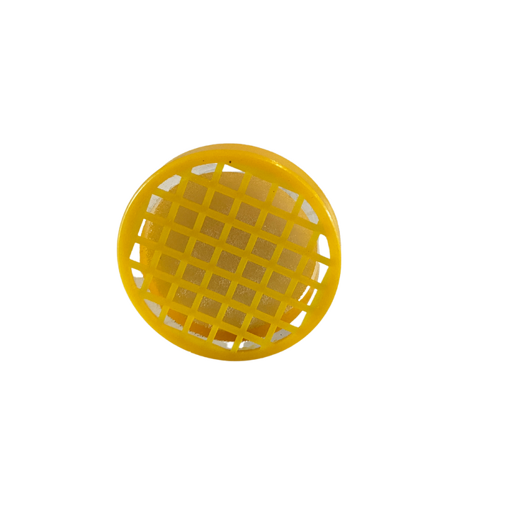 Queen Bee Marker Cage with Plunger