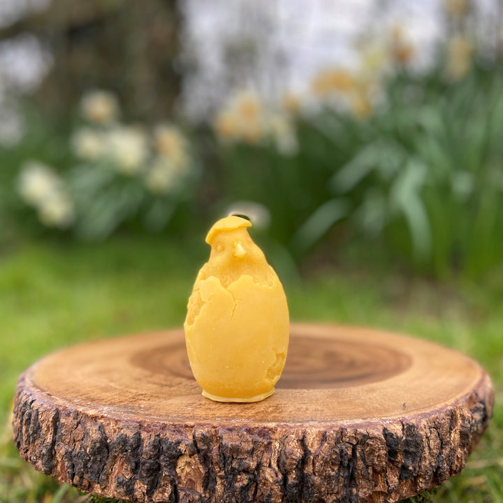 Easter Hatching Chick Beeswax Candle