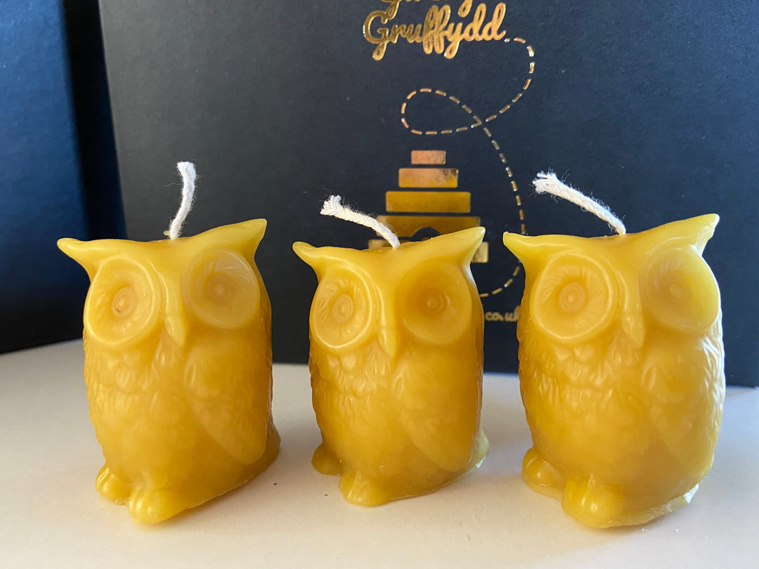 Small Solid Beeswax Owl Candles Gift, Set of 3 in Gift Box