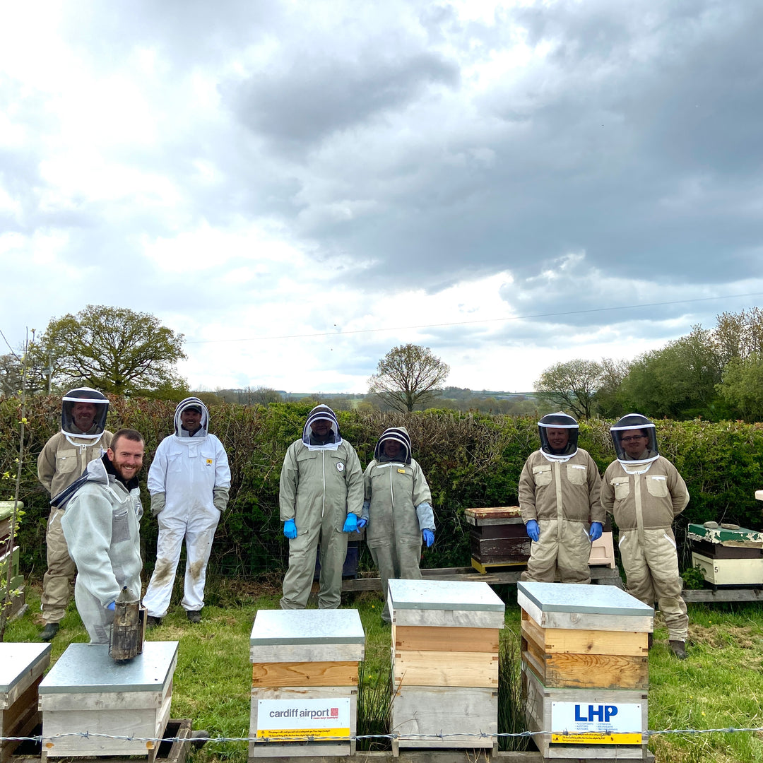 One Day Beekeeping Training for Beginners 2026