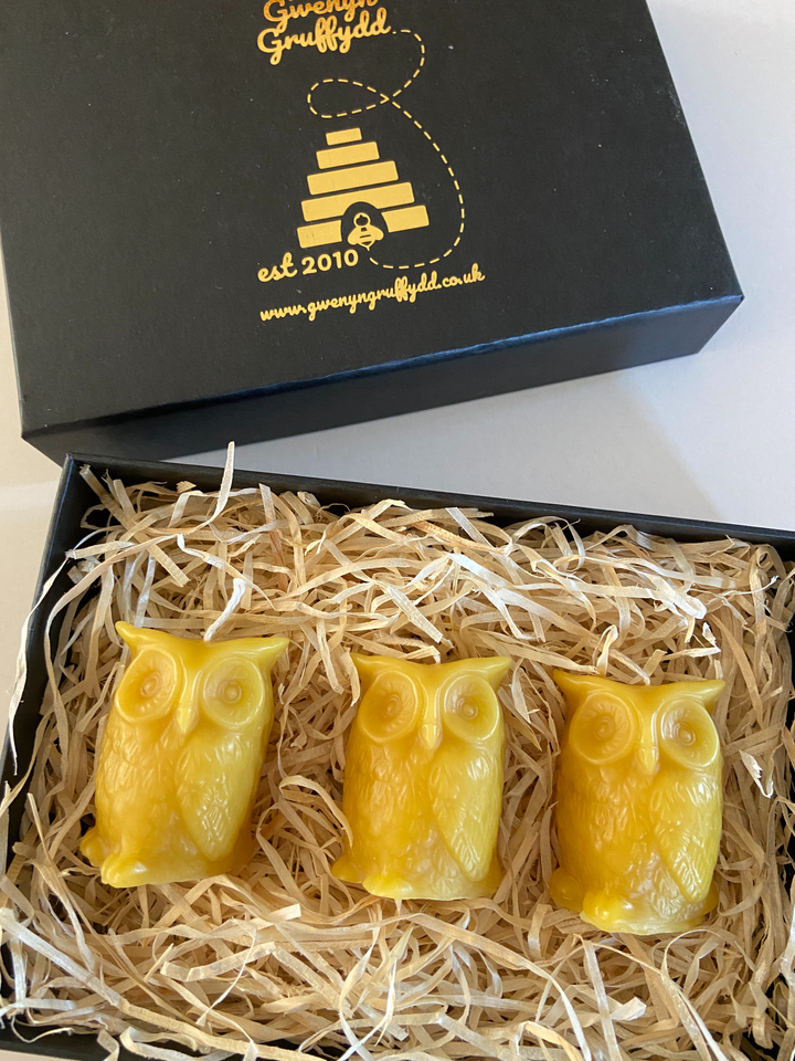 Set of 3 Pure Beeswax Owl Candles