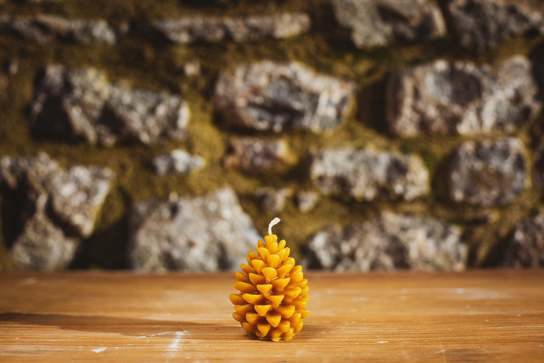 100% Pure Beeswax Pine Cone Candle