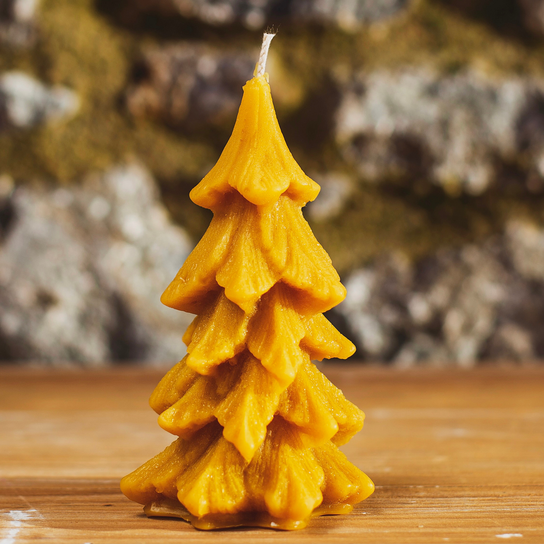 Eco-friendly beeswax candle as Christmas table centrepiece
