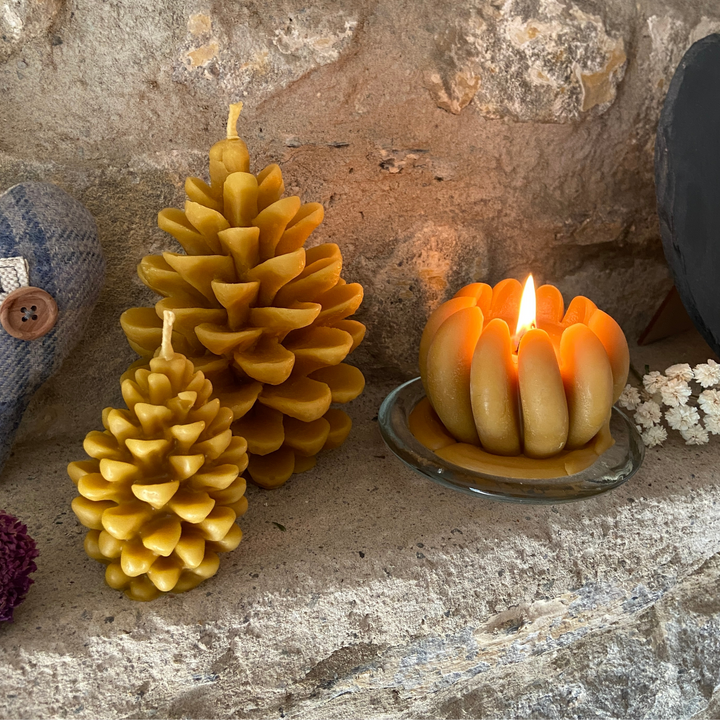 Lit beeswax pumpkin candle with handmade pine cone candles in an autumn display