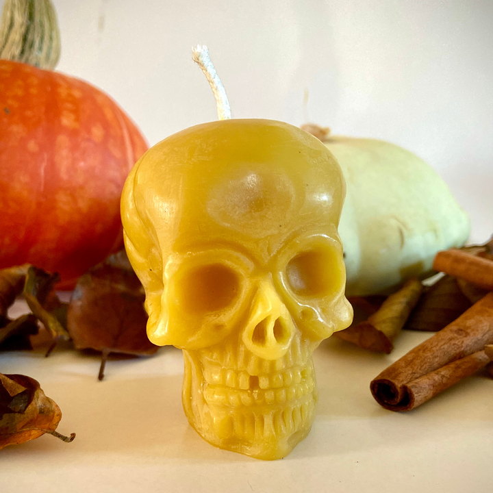Handmade beeswax skull candle with pumpkins and autumn leaves for Halloween décor