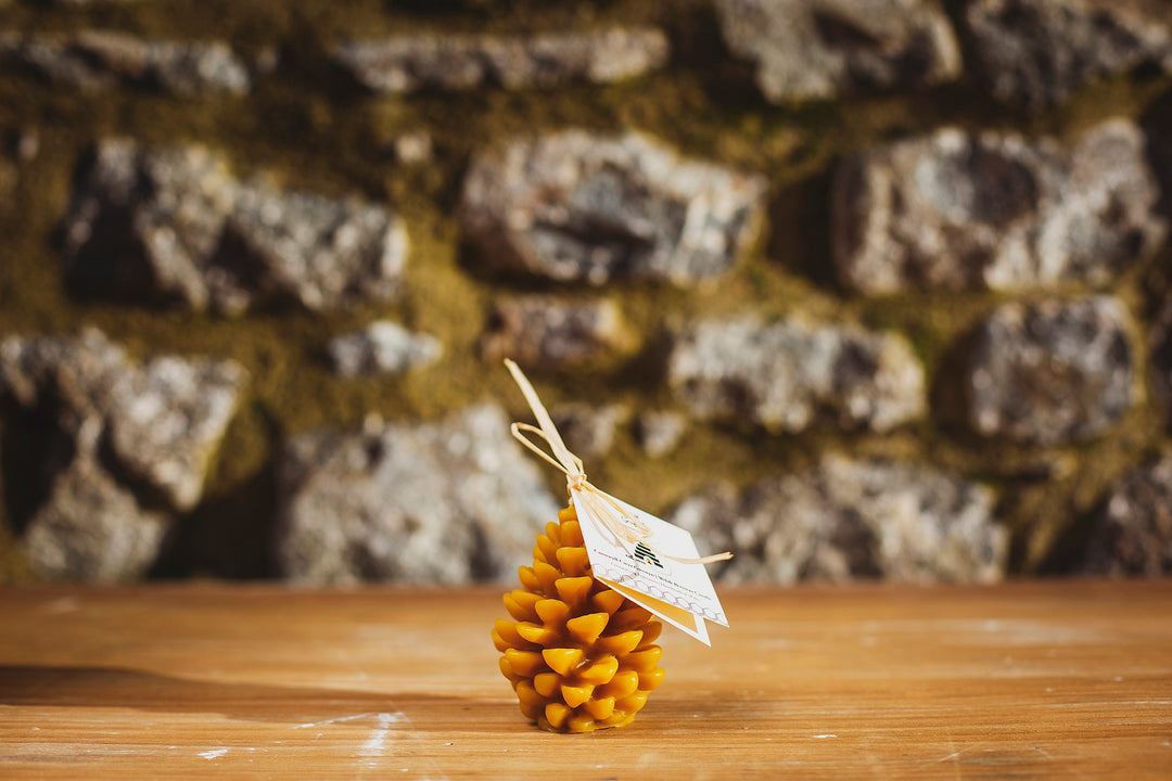 100% Pure Beeswax Pine Cone Candle