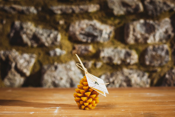 100% Pure Beeswax Pine Cone Candle