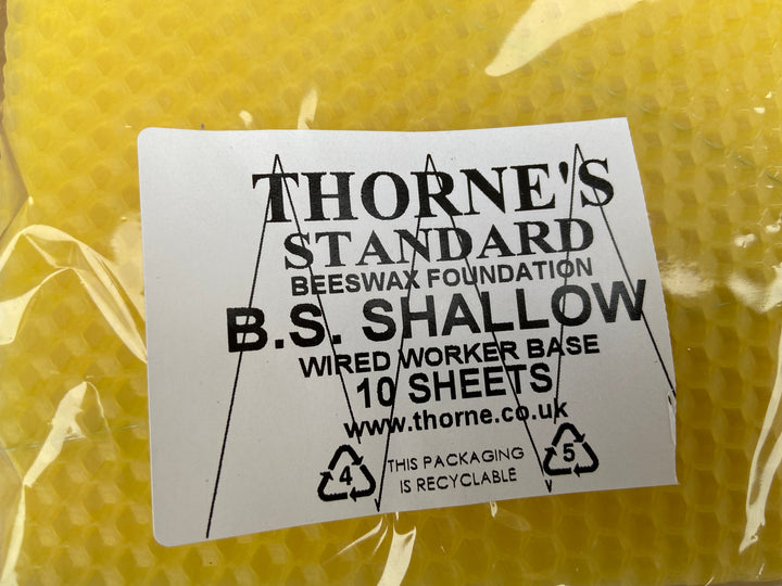 Thorne B.S. Shallow Wired Worker Foundation Standard - Pack of 10