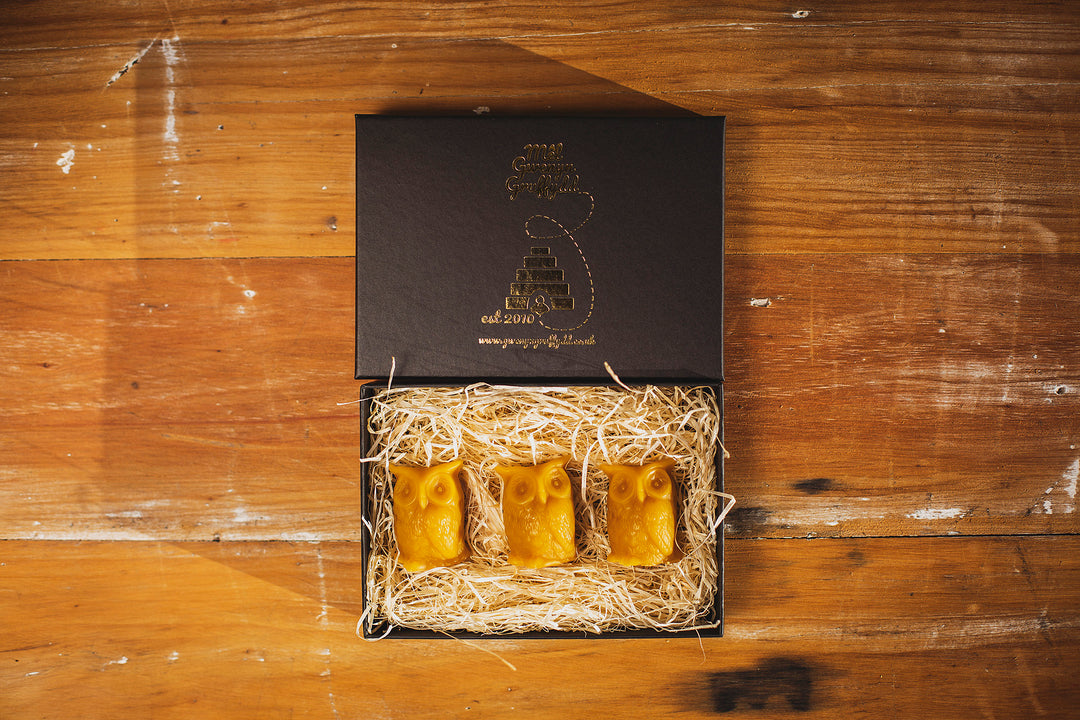 Small Solid Beeswax Owl Candles Gift, Set of 3 in Gift Box