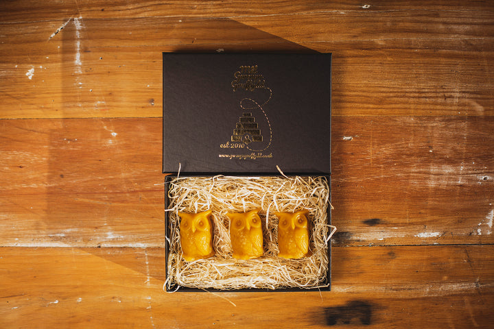 Small Solid Beeswax Owl Candles Gift, Set of 3 in Gift Box