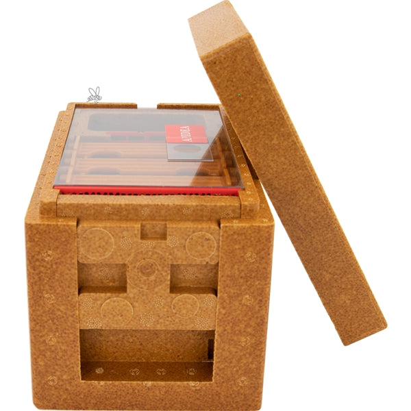 APIDEA Poly Mating Hive