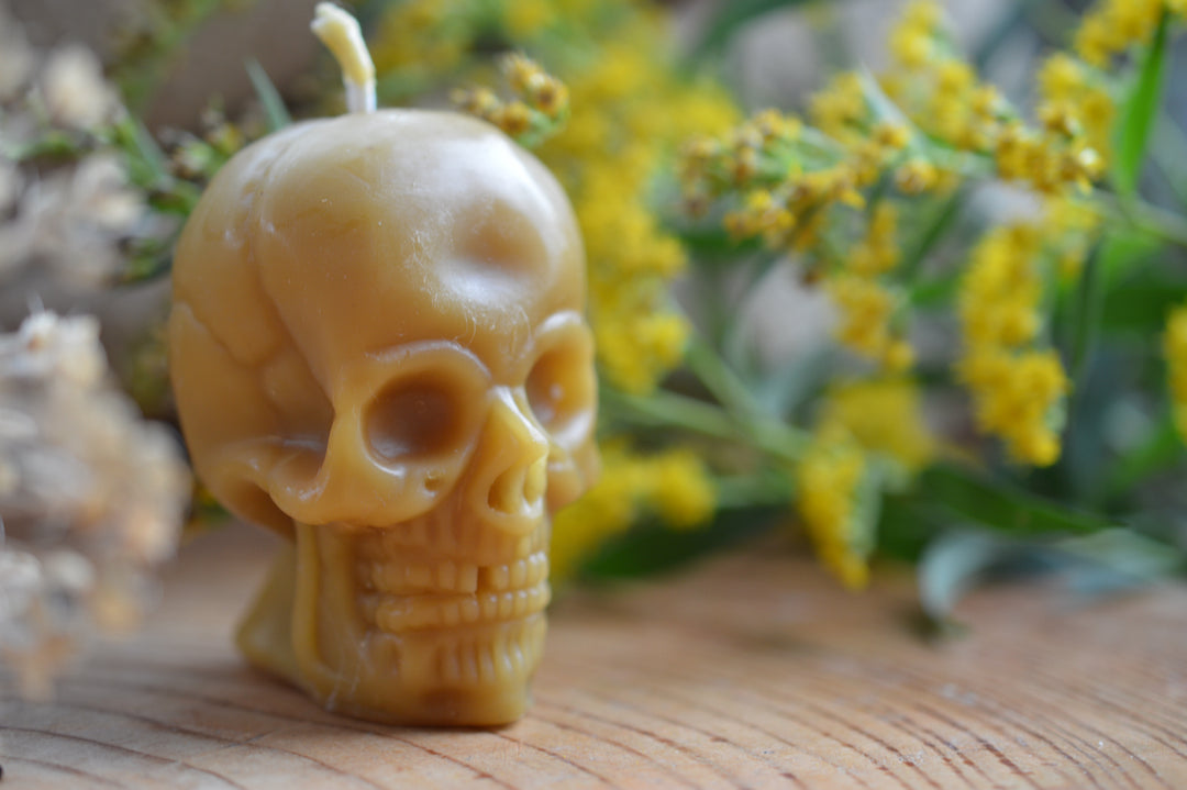 Small Beeswax Skull Candle – Handmade Halloween Candle