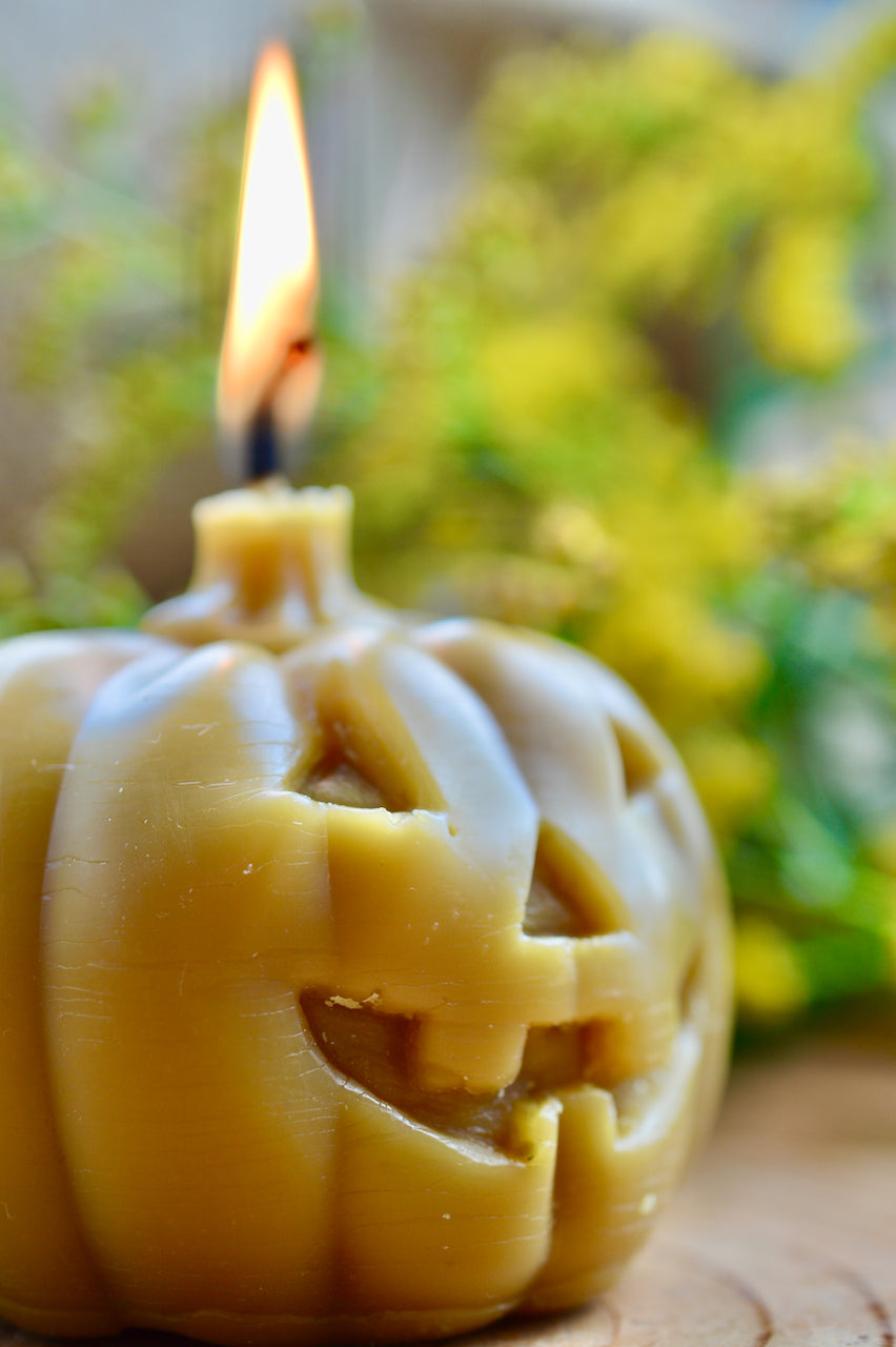 Pure Beeswax Pumpkin Candle