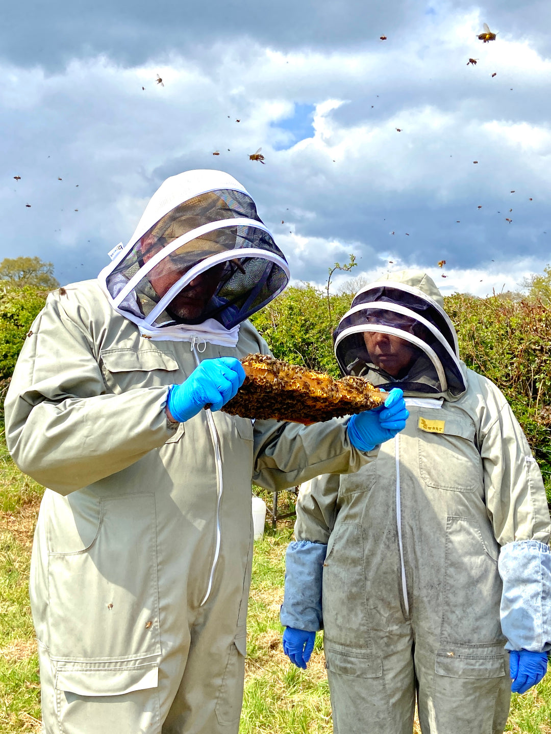 One Day Beekeeping Training for Beginners 2026