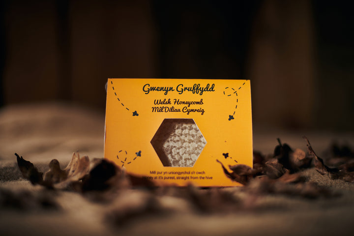 Welsh Honey Cut Comb Honeycomb 170G