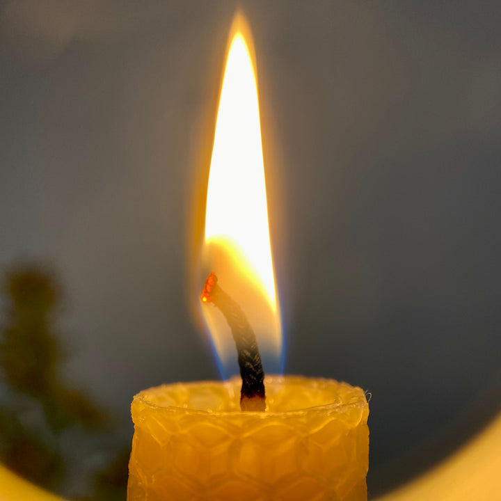 Hand Rolled Pure Beeswax Dinner Candles 27cm Tall, Box of 6