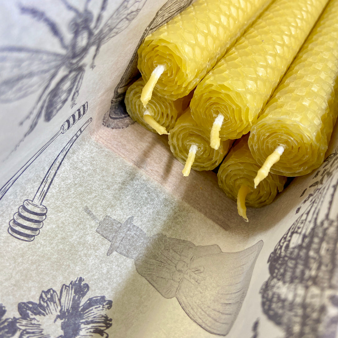 Hand Rolled Pure Beeswax Dinner Candles 27cm Tall, Box of 6