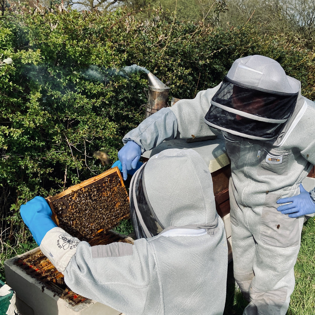 One Day Beekeeping Training for Beginners 2026