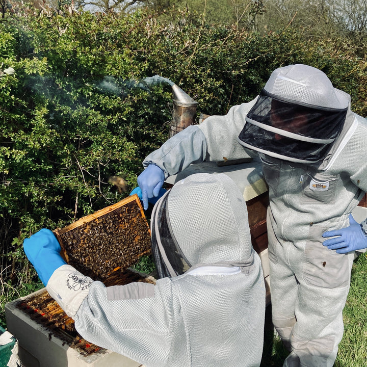 One Day Beekeeping Training for Beginners 2026