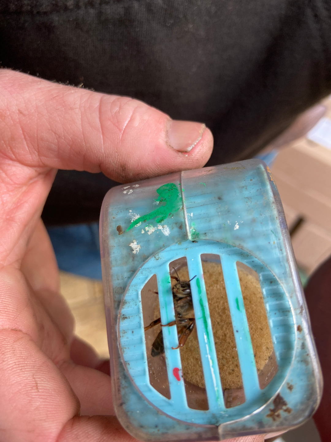 One Handed Queen Catcher