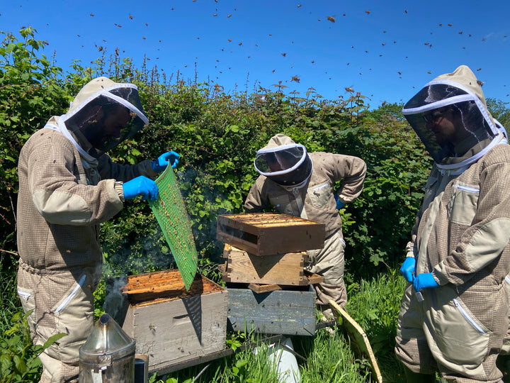 One Day Beekeeping Training for Beginners 2026