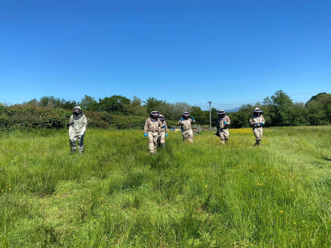 One Day Beekeeping Training for Beginners 2026