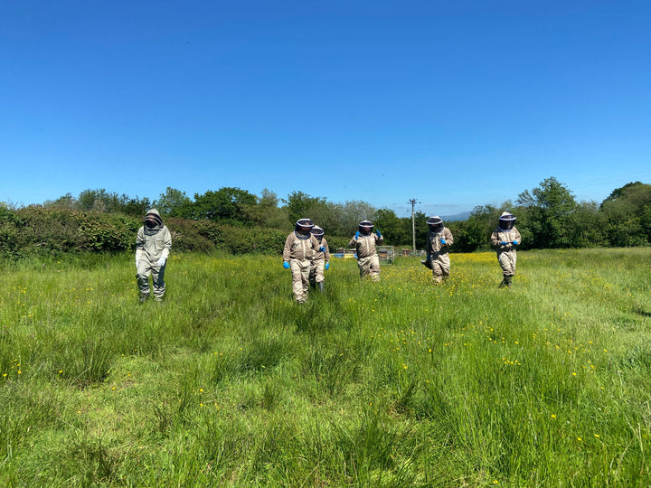 One Day Beekeeping Training for Beginners 2026