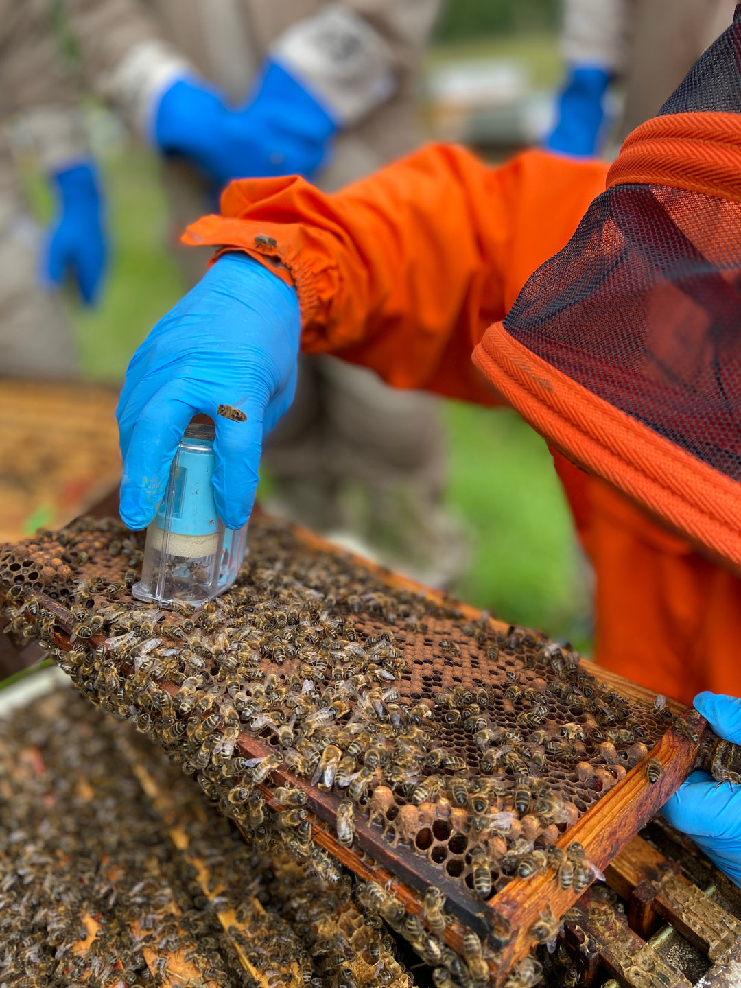 One Handed Queen Catcher