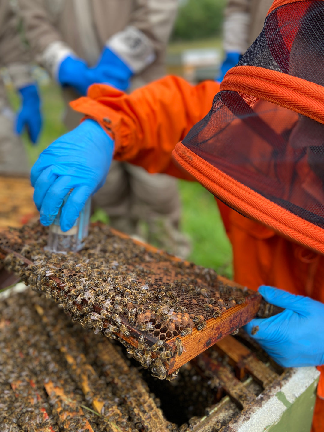 One Handed Queen Catcher