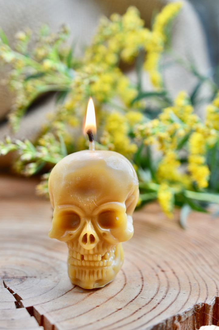 Lit handmade beeswax skull candle with detailed skull design for Halloween décor