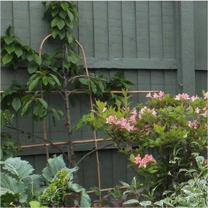 Beehive Paint Wood Stain + Protect - Soft Sage