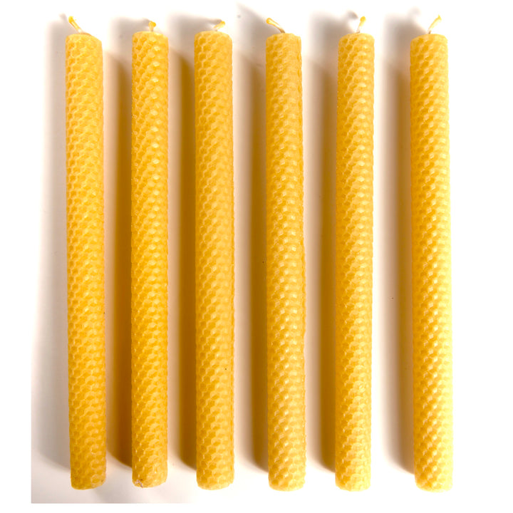 Hand Rolled Pure Beeswax Dinner Candles 27cm Tall, Box of 6