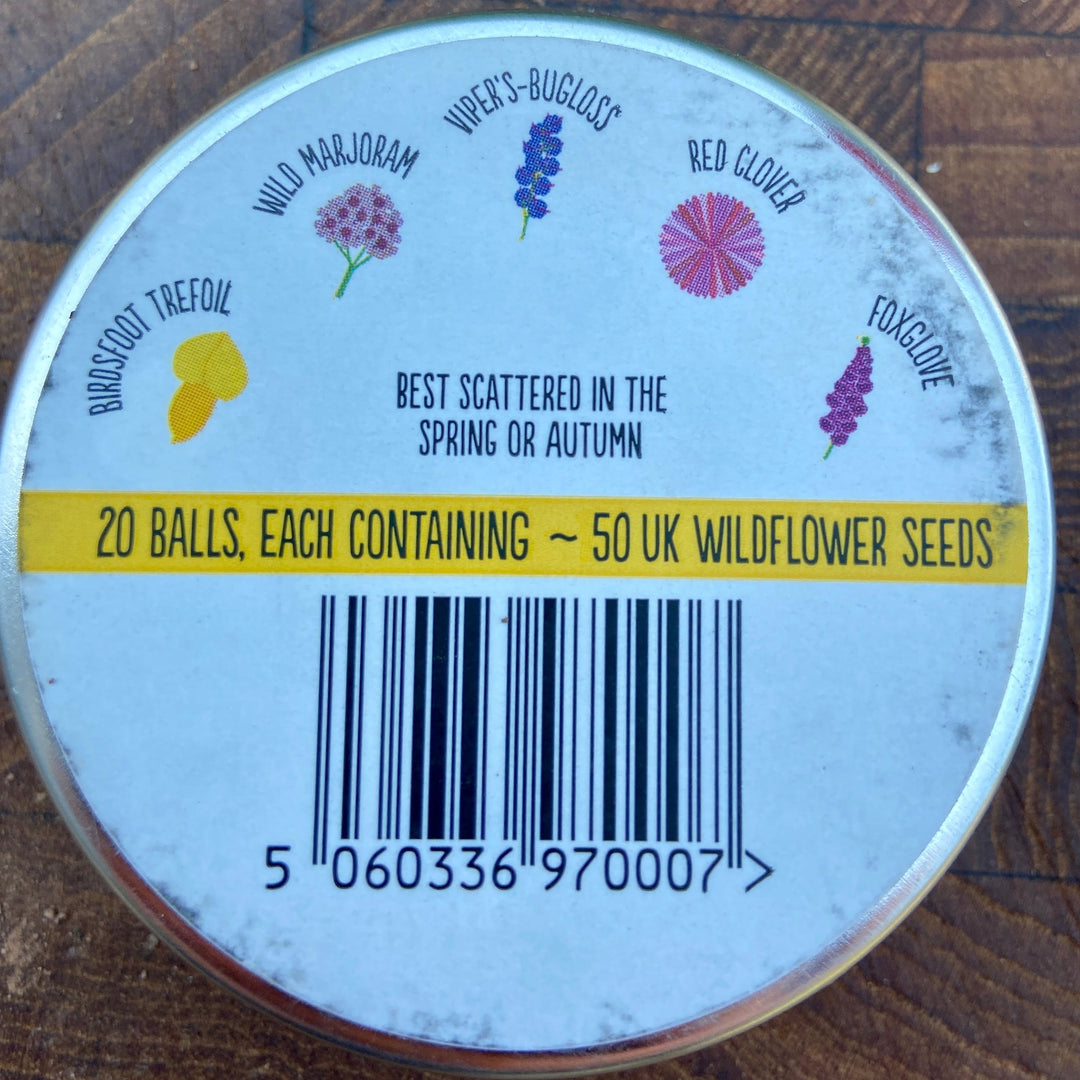 Bee Mix Wildflower Seedballs Tin | Cymysedd o Hadau Blodau Gwyllt i'r Gwenyn